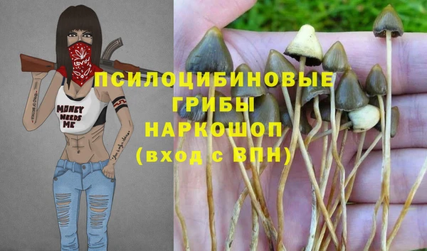 мяу мяу мука Ростов